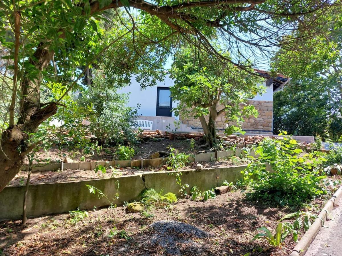 Getxo Garden Houses - The Suite Экстерьер фото